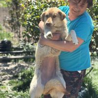 Blonda la douce #3