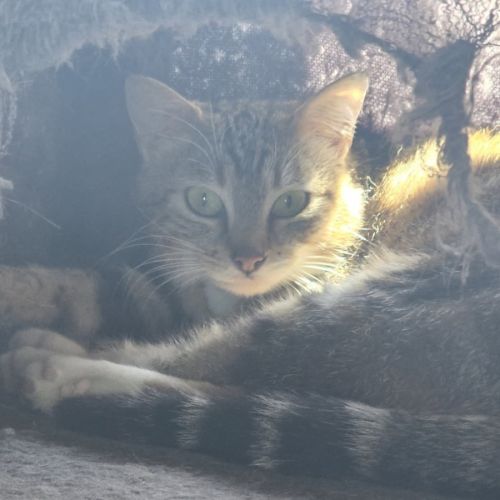 Chat vicky #2