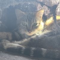 Chat vicky #2