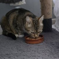 Chat vicky #3