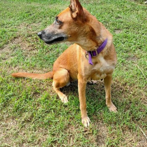 Malia #5
