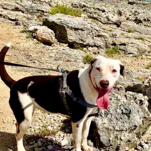Denise #7