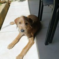 Noisette la joie de vivre #6