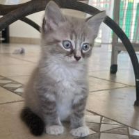 Phuket #4