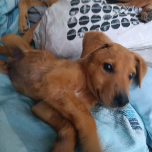 Milo le beau gosse #2