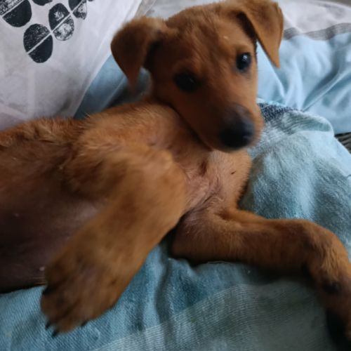 Milo le beau gosse #5