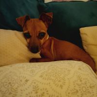 Roxy la coquine #2