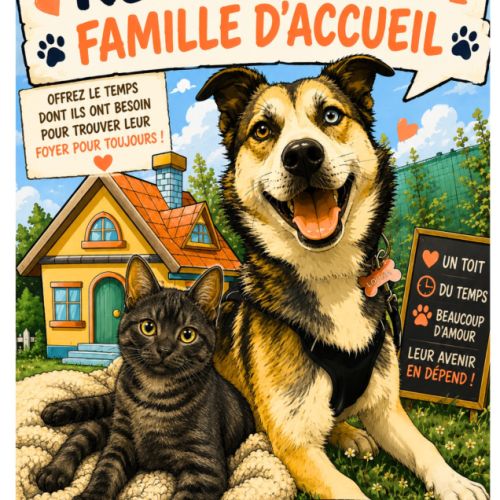 Recherche familles d'accueil