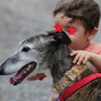 Chorrona, douce galga majestueuse #5