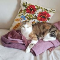 Minette- adorable tout simplement !