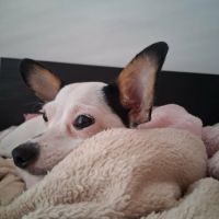 Betsy la douce #5