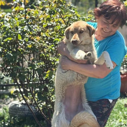 Blonda à l'adoption #5