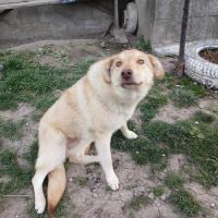 Blonda à l'adoption #8