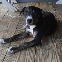 Darwin un adorable petit garçon #7