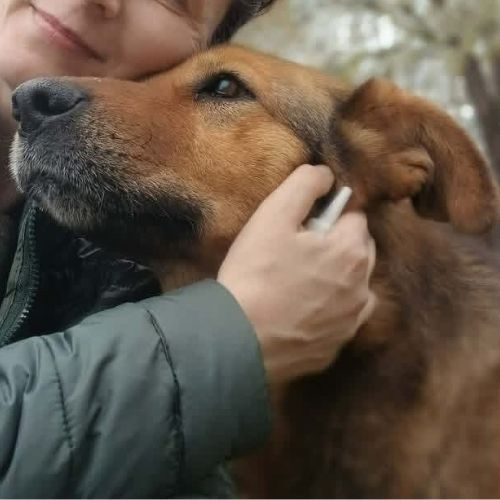 Miga la compagne de tendresse