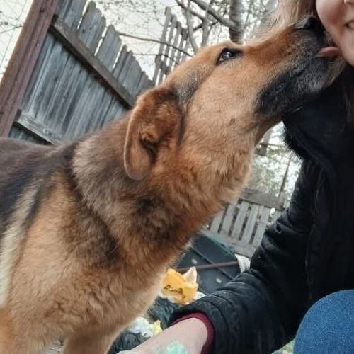 Miga la compagne de tendresse #3