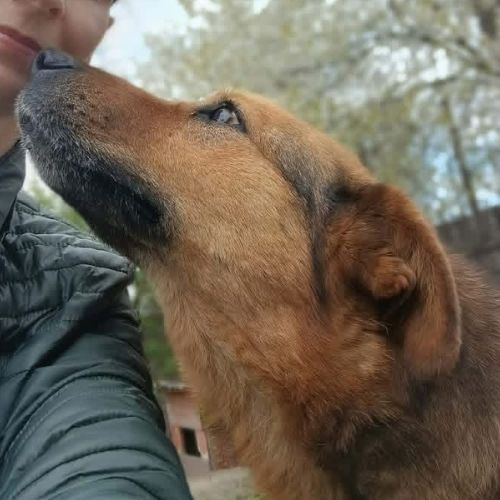 Miga la compagne de tendresse #4
