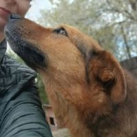 Miga la compagne de tendresse #4