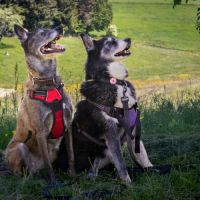 Malia et kiara à l'adoption
