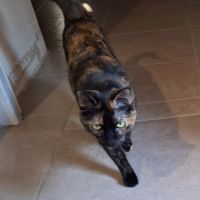 Minette smarties #2