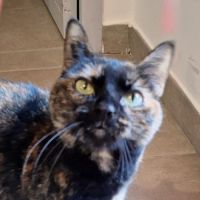 Minette smarties #3