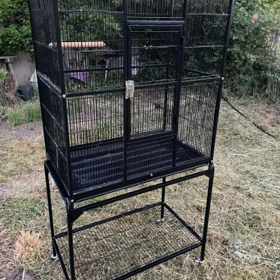 Youyou mâle eam( possible échange) avec cage #3