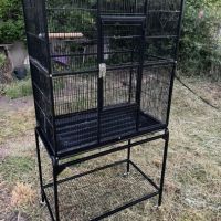 Youyou mâle eam( possible échange) avec cage #3