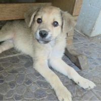 Codita un bebe damour #3