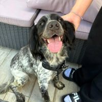 orka #10