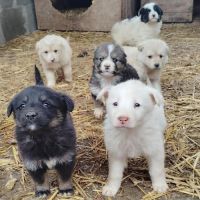 Terra petit bebe cherche une famille #8