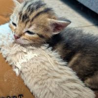*bounty*, la petite douceur #2