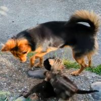 *bounty*, la petite douceur #3