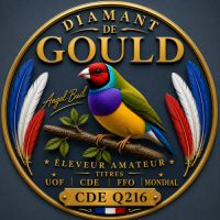Diamant de gould #1