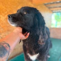 Umbra cherche un doux foyer