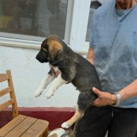 Bazile le gros bebe #6