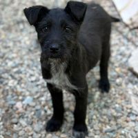 Lison le bebe survivant #1
