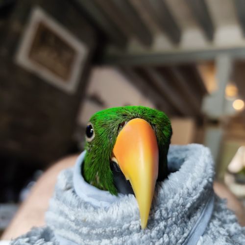 Cherche famille attentionnée