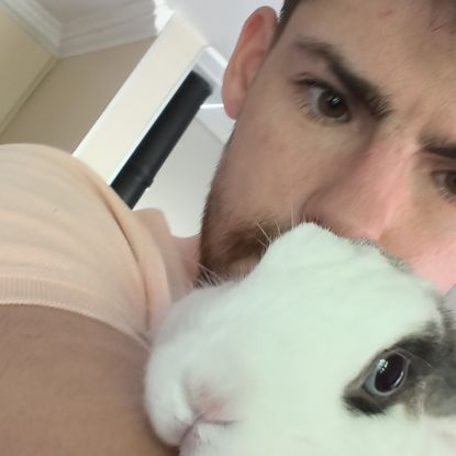 Lapine adulte stérilisé #1