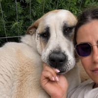 Baloo grand cœur sur pattes #5