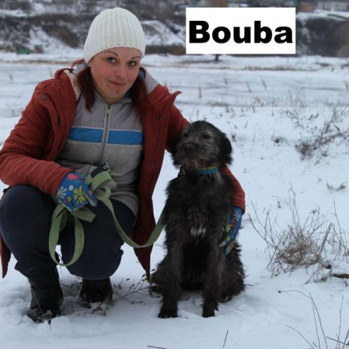 Bouba, 1 an male croisé poil long, à adopter 9 kg #3