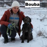 Bouba, 1 an male croisé poil long, à adopter 9 kg #3
