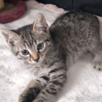 Bianca, la douce et intrépide
