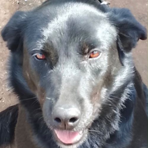 Jade, 3 ans, a sauver du maroc! #3