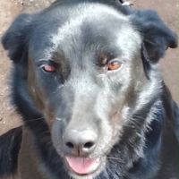 Jade, 3 ans, a sauver du maroc! #3