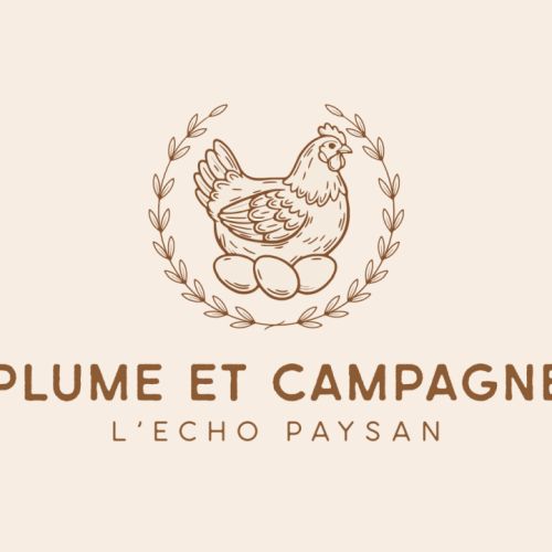 Poule et coq sabelpoot #3