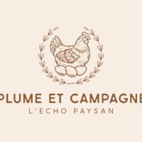 Poule et coq sabelpoot #3