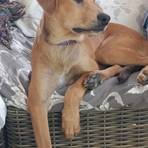 Loki, je voudrais faire connaissance #4