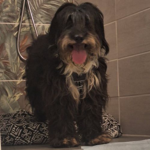 Anna-mary, très timide, à l'adoption #4