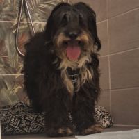 Anna-mary, très timide, à l'adoption #4