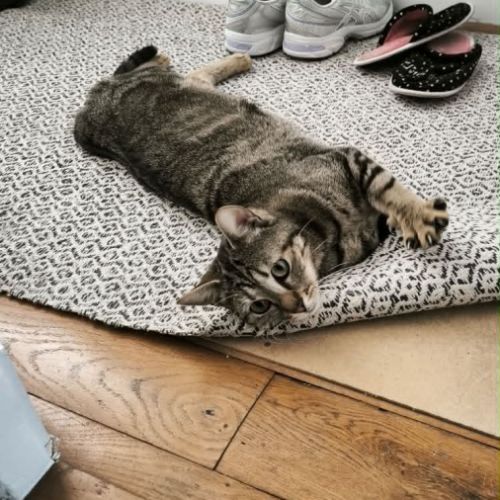 Illy, une petite âme tendre qui rêve enfin de son #4